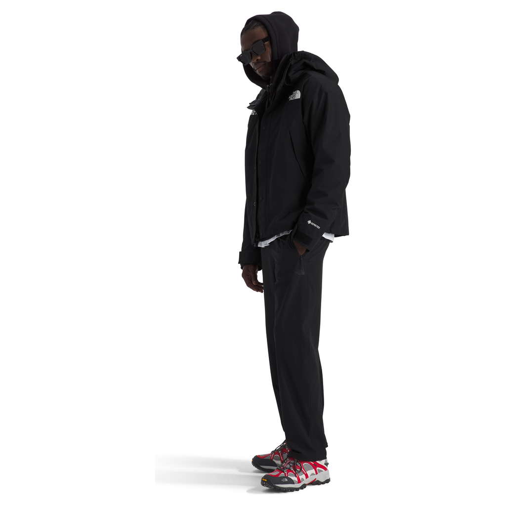 The North Face Men's GORE-TEX Mountain Jacket