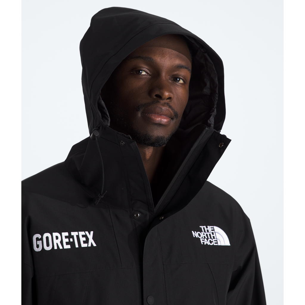 The North Face Men's GORE-TEX Mountain Jacket