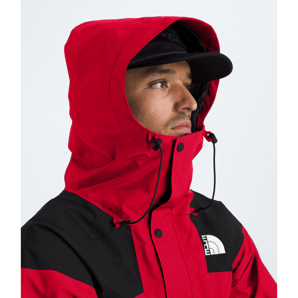 The North Face Men's GORE-TEX Mountain Jacket