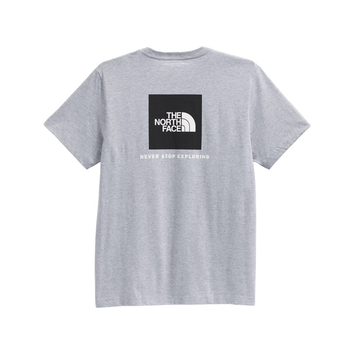 The North Face Men's Evolution Box NSE Regular Short-Sleeve T-Shirt